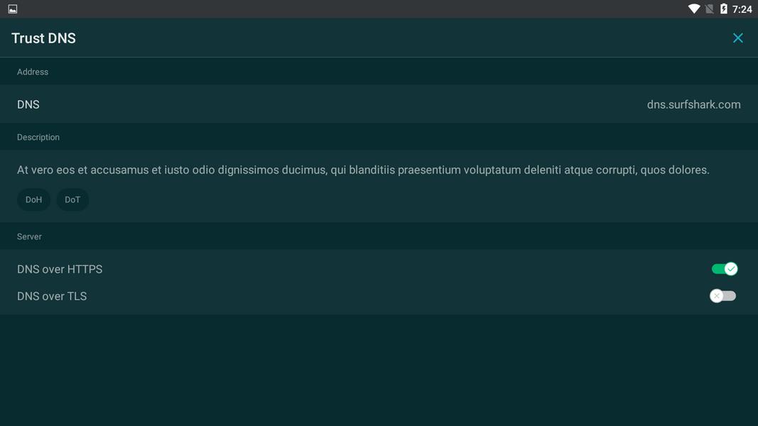 Trust DNS Screenshot 3