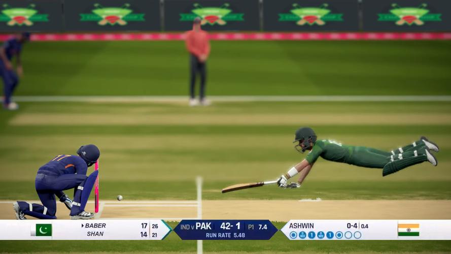 Real World Cricket Games Captura de tela 3