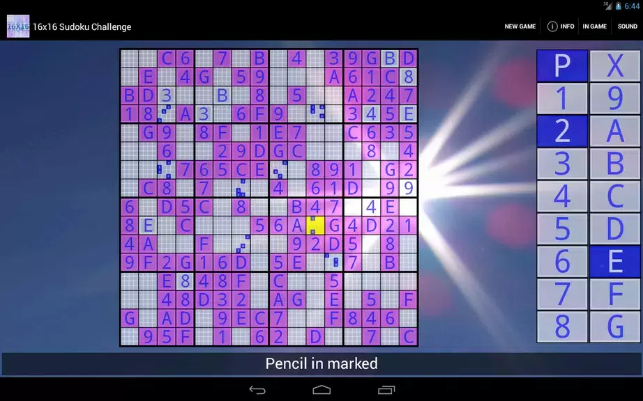 16x16 Sudoku Challenge HD Ekran Görüntüsü 2