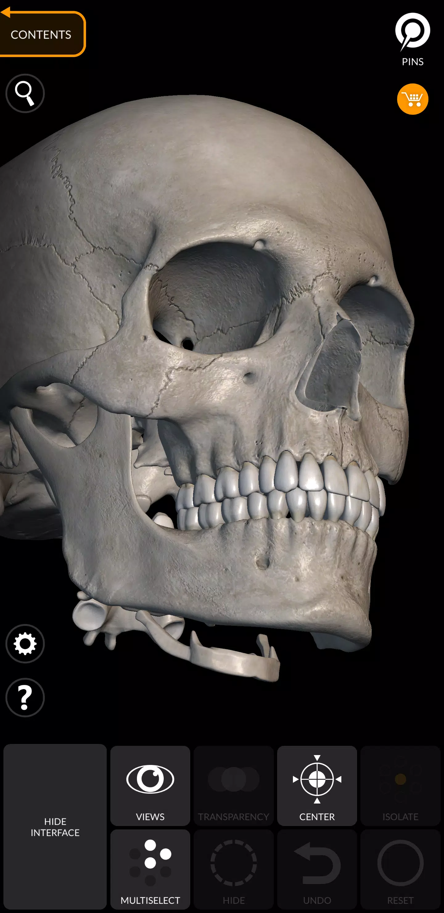 Skeleton应用截图第3张