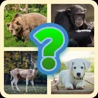 Guess The Animal - Quiz Game