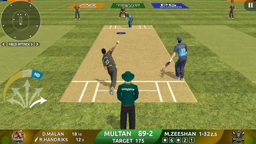 Cricket Game: Pakistan T20 Cup Captura de pantalla 1