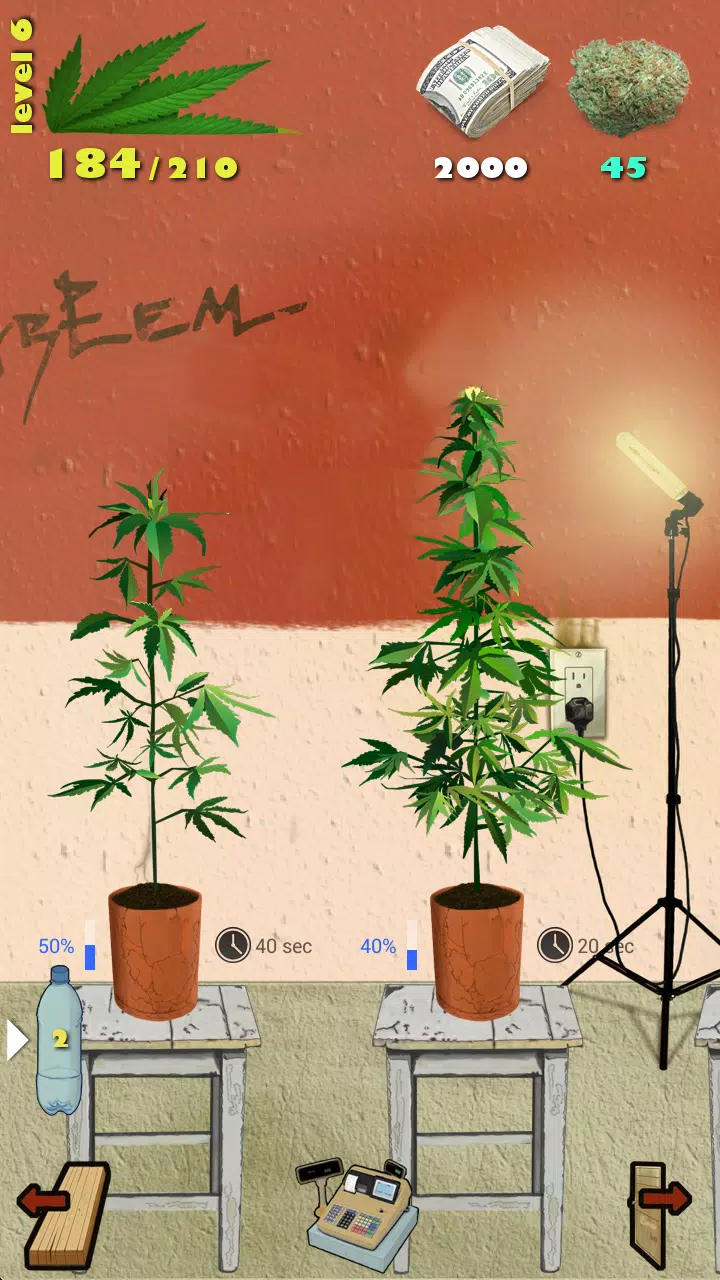 Weed Firm: RePlanted Captura de tela 1