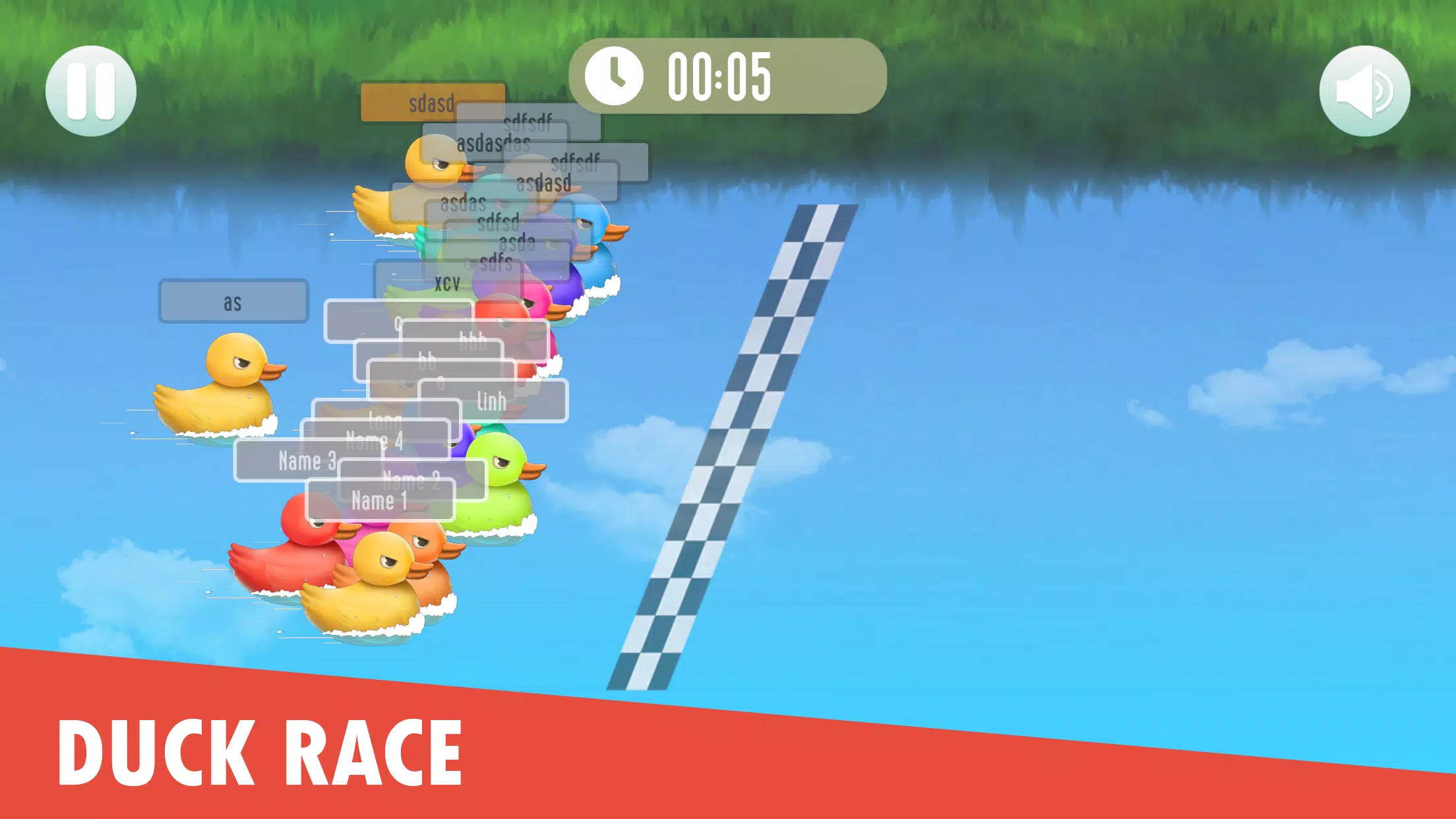Duck Race: Name Picker Tangkapan skrin 0