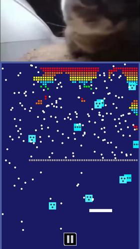 Chipi Chapa: Brick Breaker Schermafbeelding 3