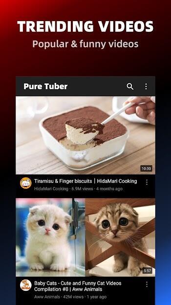 Pure Tuber: Video & MP3 Player应用截图第0张