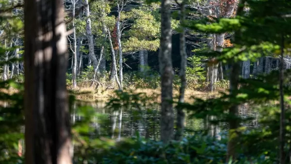 Ghost of Yotei Chose Hokkaido for Its Blend of Peril and Scenic Grandeur