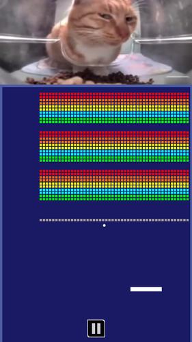 Chipi Chapa: Brick Breaker Schermafbeelding 2