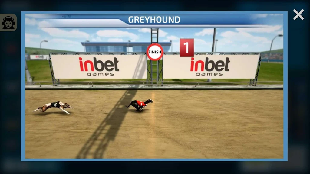 Dogs3D Races Betting Schermafbeelding 3
