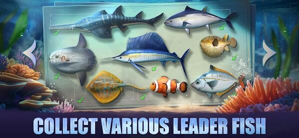 Top Fish: Ocean Game 스크린샷 2