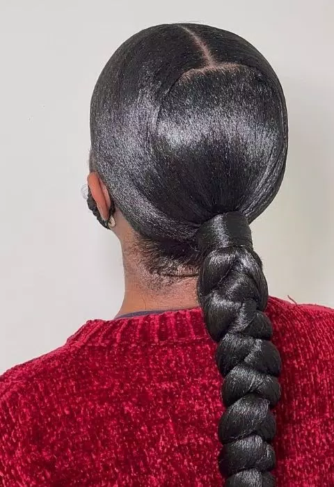 Sleek Braided Ponytail Styles Capture d'écran 2