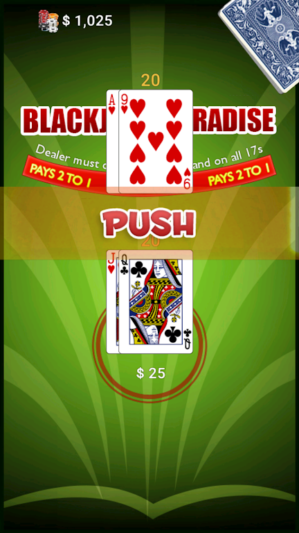 BlackJack Paradise Screenshot 2