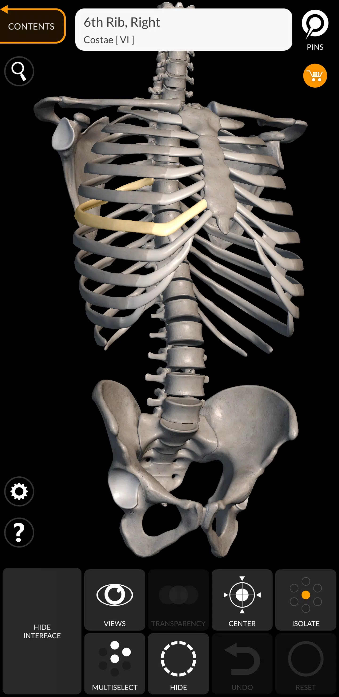 Skeleton应用截图第0张