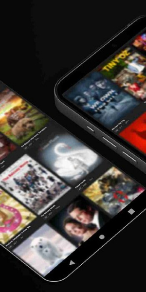 TinyZone 螢幕截圖 1