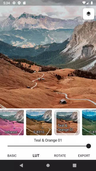 3DLUT mobile 2 Tangkapan skrin 2