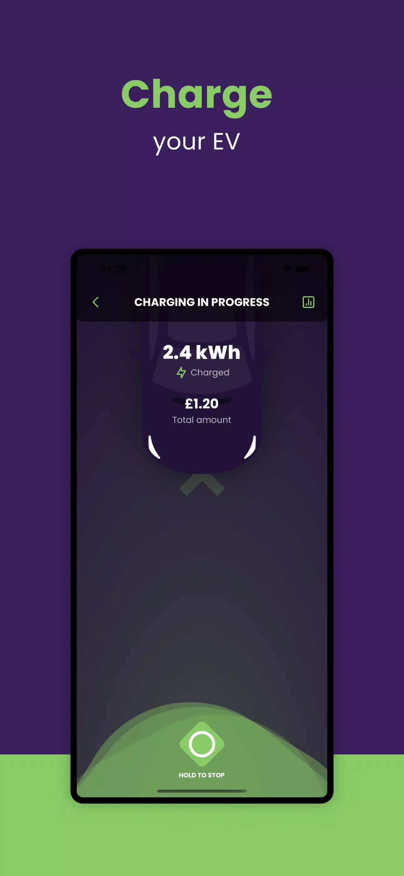 Schermata Chargeability 3