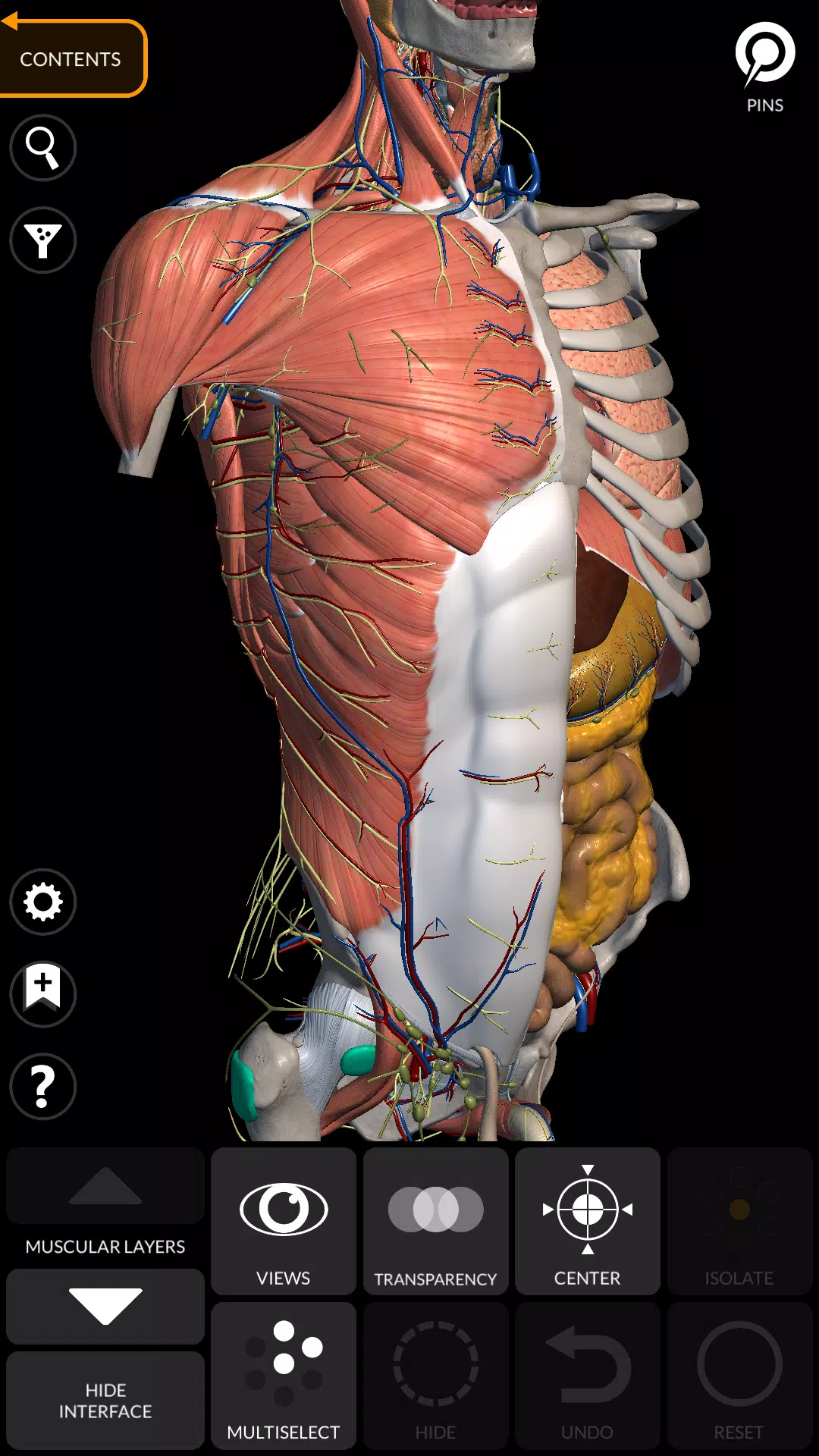 Schermata Anatomy 3D Atlas 0