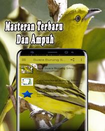 Suara Burung Sirtu Pikat MP3 Offline Screenshot 1