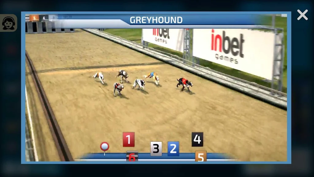 Dogs3D Races Betting Schermafbeelding 2