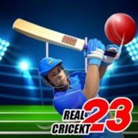 Real World Cup ICC Cricket T20