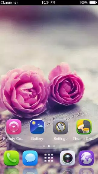 Pink Roses Theme C Launcher Screenshot 2