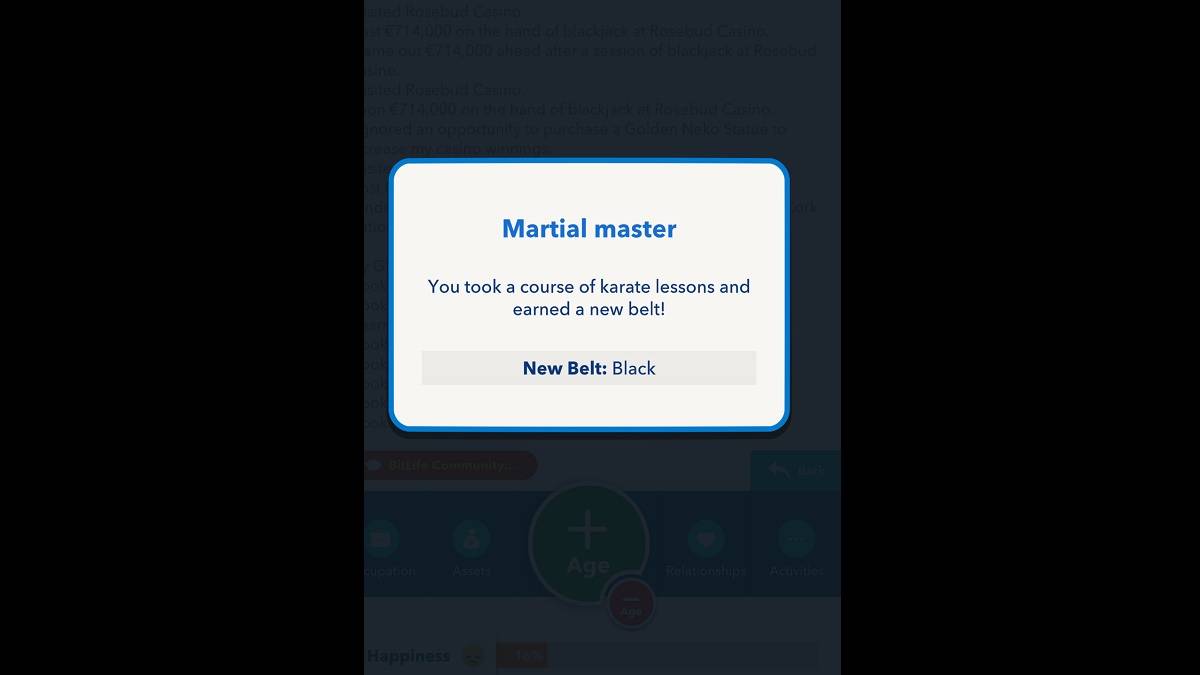 Bitlife Kara Kuşak Kazanıldı