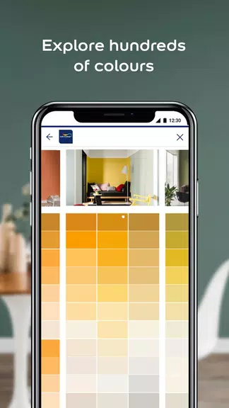 Dulux Visualizer PK Ảnh chụp màn hình 1