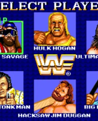 Schermata WWF Superstars of Wrestling Cl 2