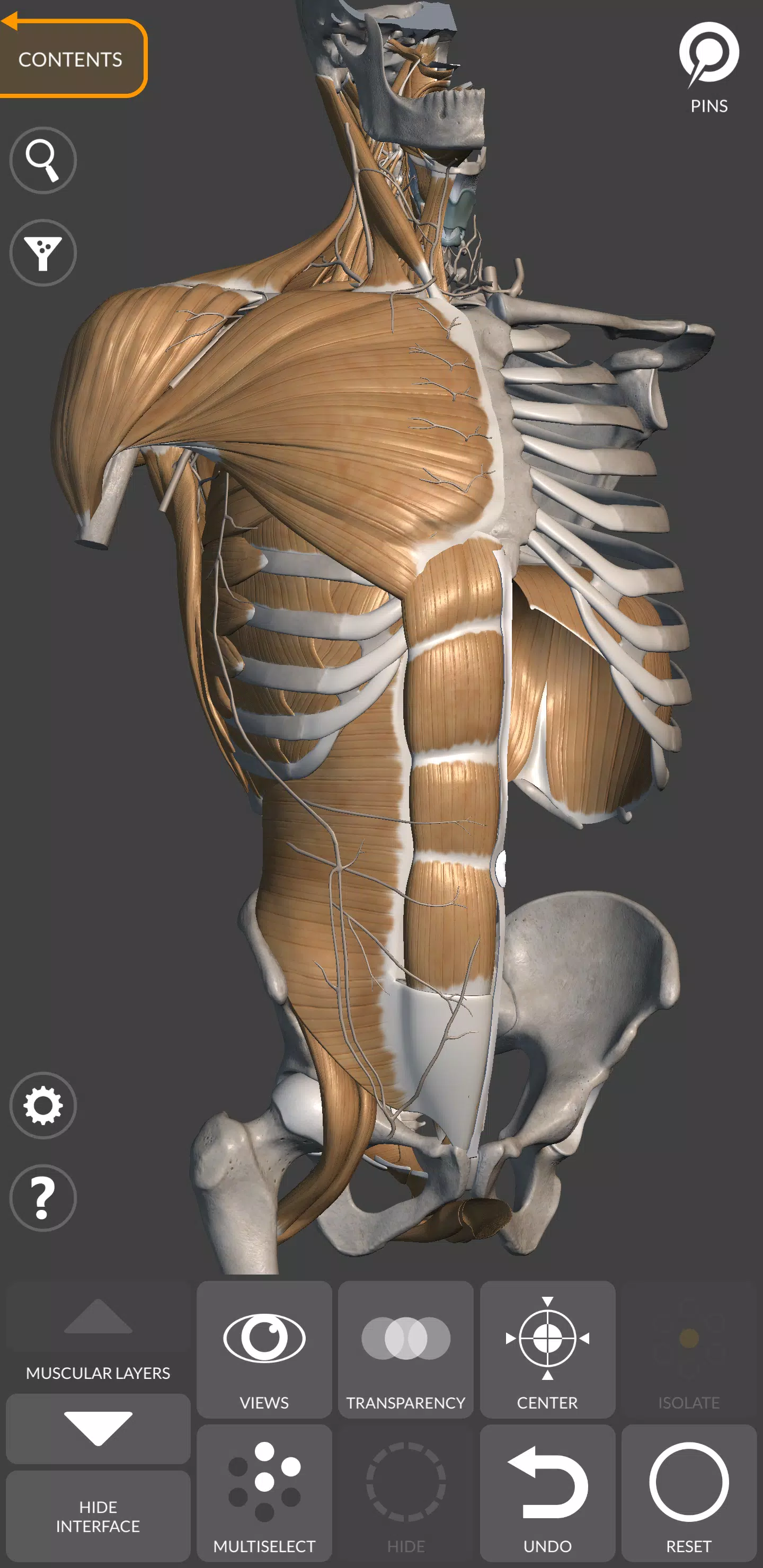 3D Anatomy for the Artist Screenshot 1