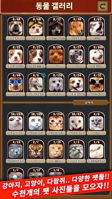 애니멀 맞고 - 동물 팻 고스톱 스크린샷 3