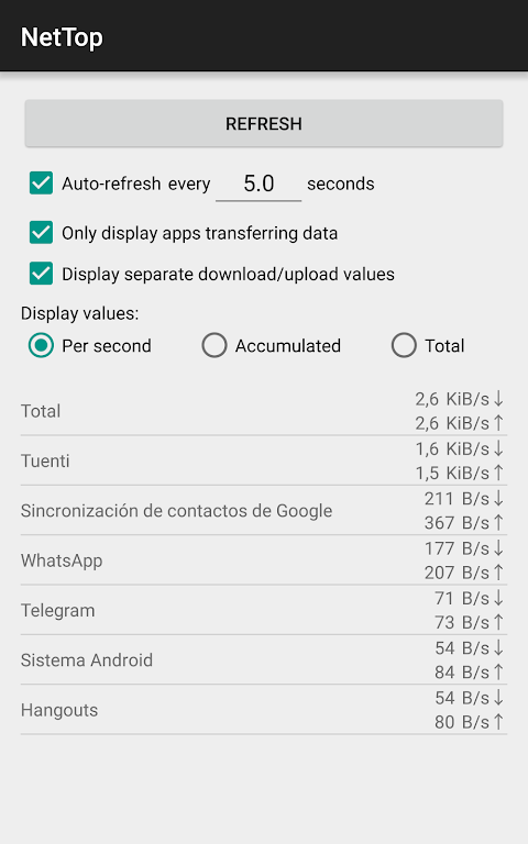 NetTop: RealTime Network Meter ဖန်သားပြင်ဓာတ်ပုံ 1