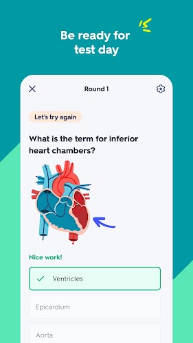 Quizlet: AI-powered Flashcards স্ক্রিনশট 2