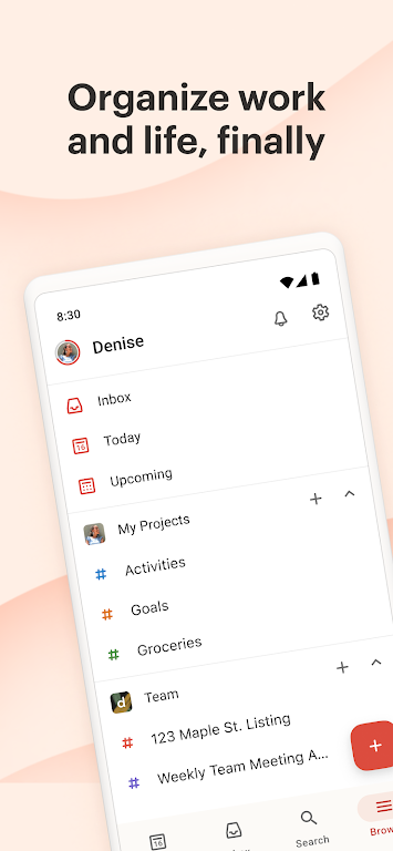 Todoist Tangkapan skrin 0