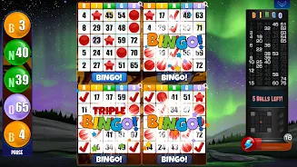 Absolute Bingo Capture d'écran 2