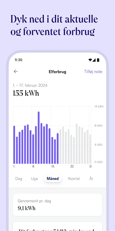 Norlys – forbrug og elpriser Screenshot 1