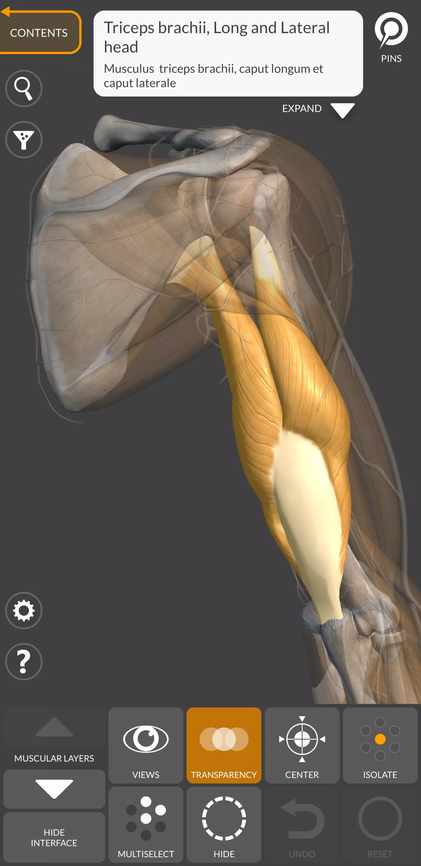 3D Anatomy for the Artist Screenshot 2