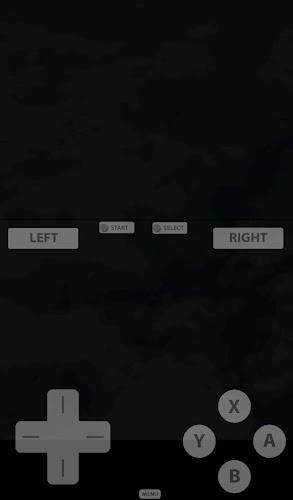 Fast DS Emulator - For Android Screenshot 1